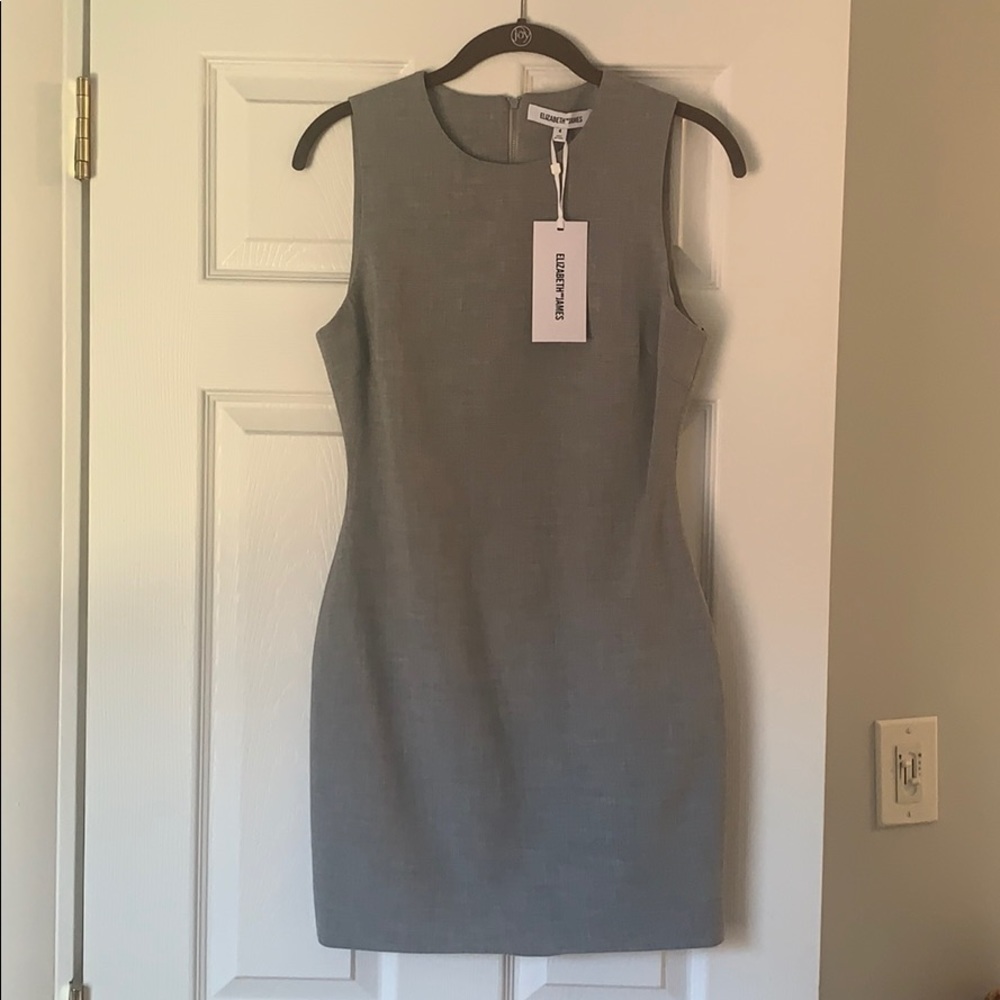 Elizabeth and James Nadia dress NWT